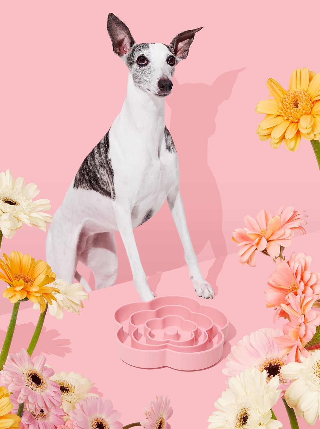 MEADOW Silicone Pet Slow Feeder — close-up detail