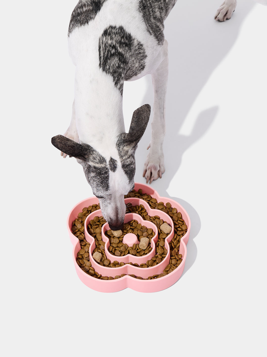 MEADOW Silicone Pet Slow Feeder — styled in a home setting