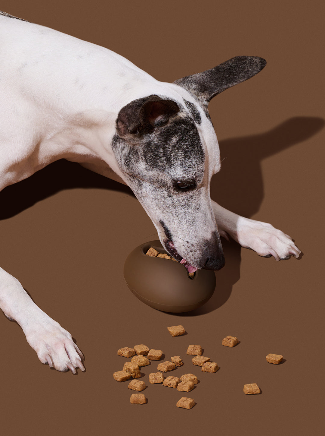 MOCHA Pet Feeder Toy — alternative angle