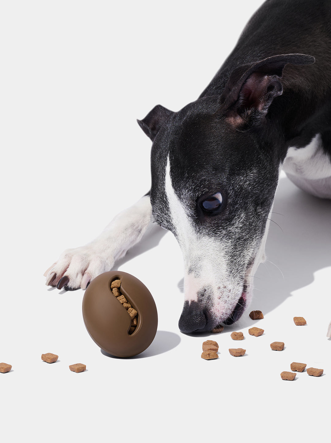 MOCHA Pet Feeder Toy — in use