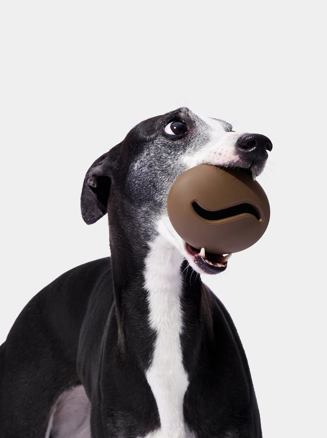 MOCHA Pet Feeder Toy — main product photo