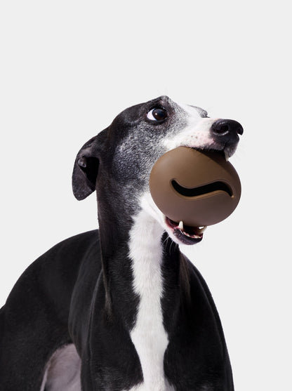MOCHA Pet Feeder Toy — main product photo