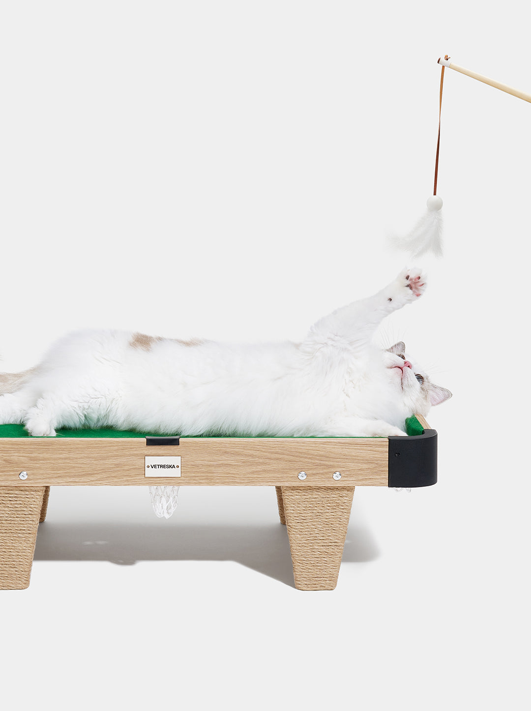 NEST Cat Toy Set — detail shot