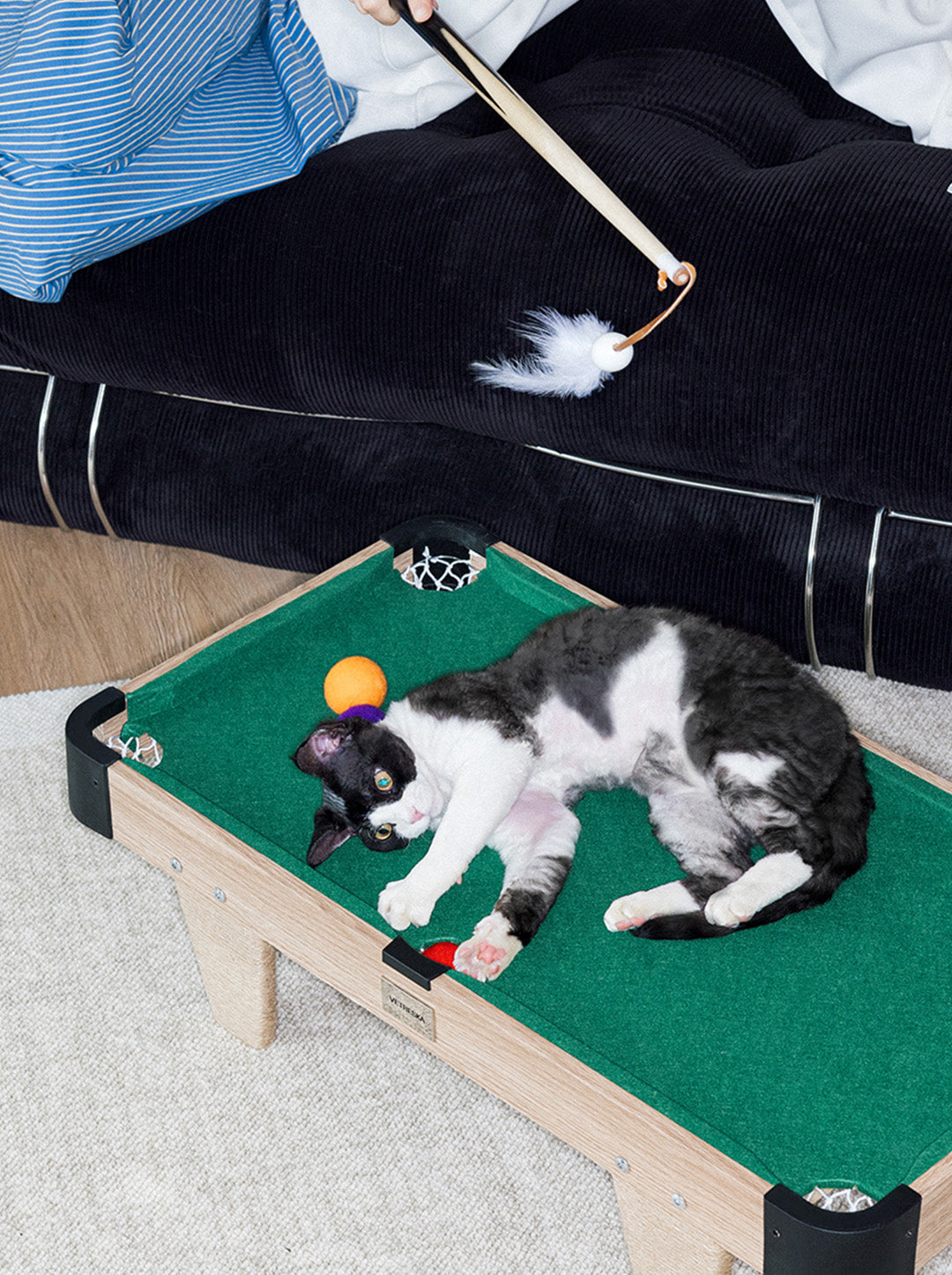 NEST Cat Toy Set — styled in a home setting