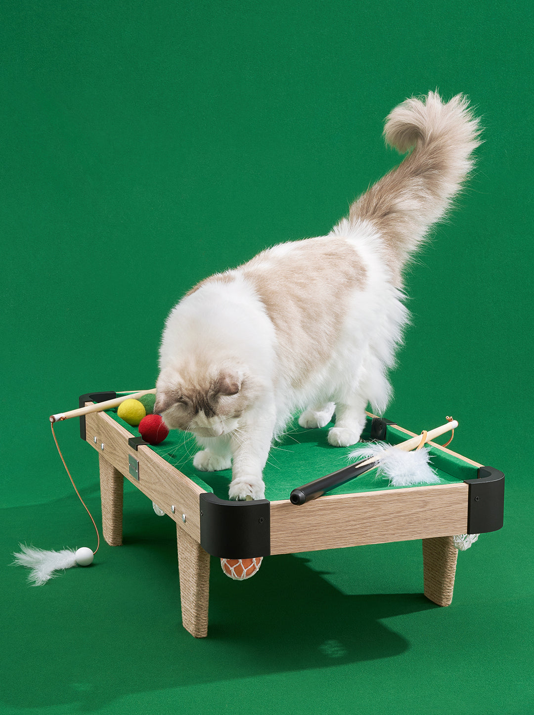 NEST Cat Toy Set — in use