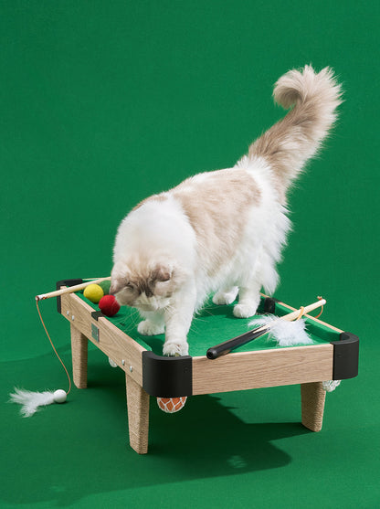 NEST Cat Toy Set — in use