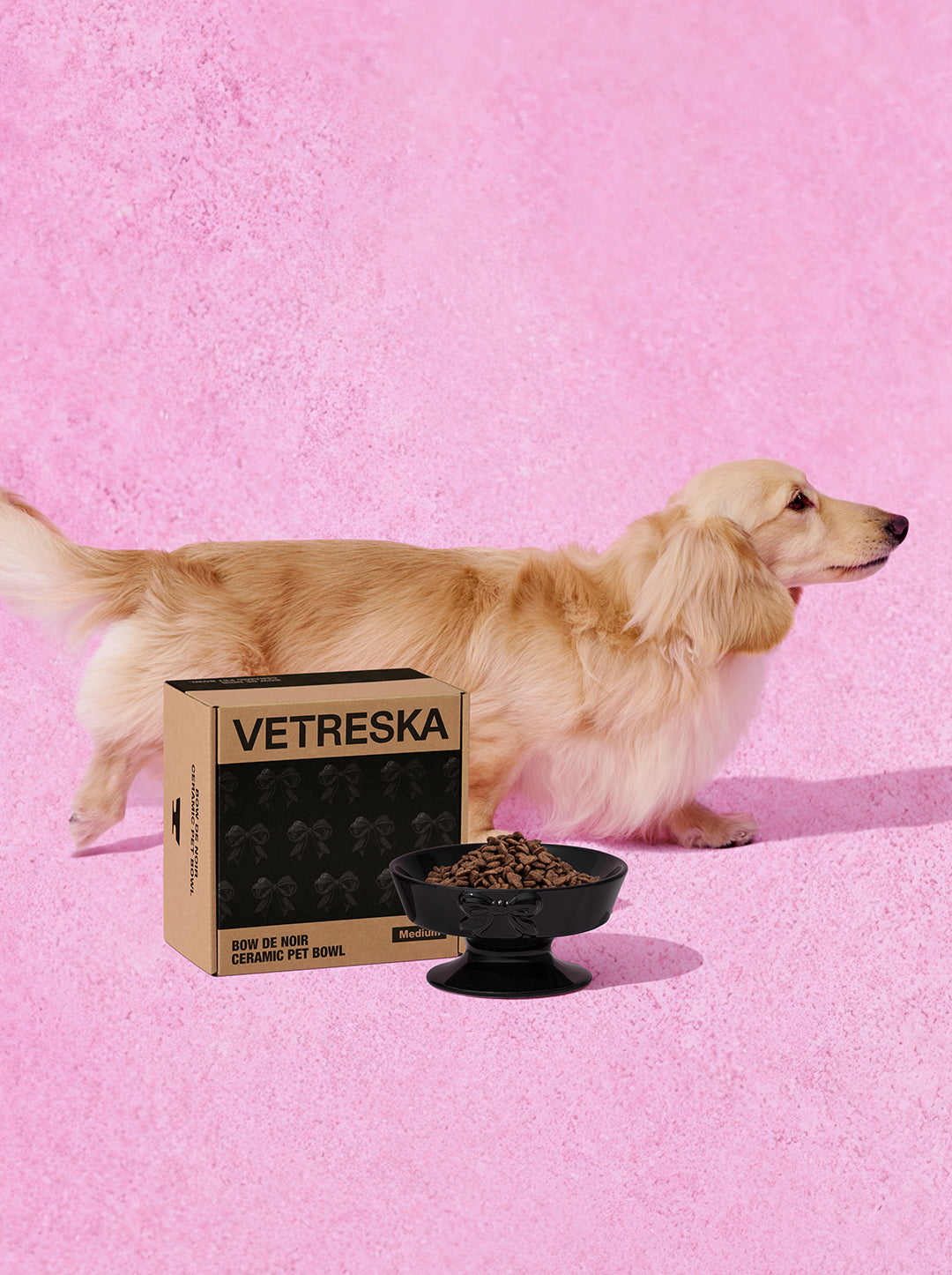 NOIR Ceramic Pet Bowl (2) — close-up detail