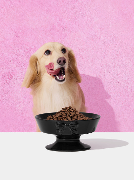 NOIR Ceramic Pet Bowl (2) — styled in a home setting
