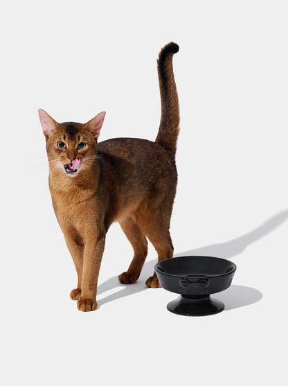 NOIR Ceramic Pet Bowl — close-up detail