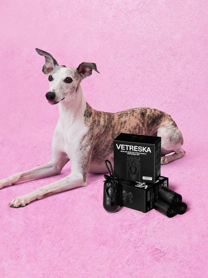 NOIR Pet Poop Bags & Dispenser Set — styled in a home setting