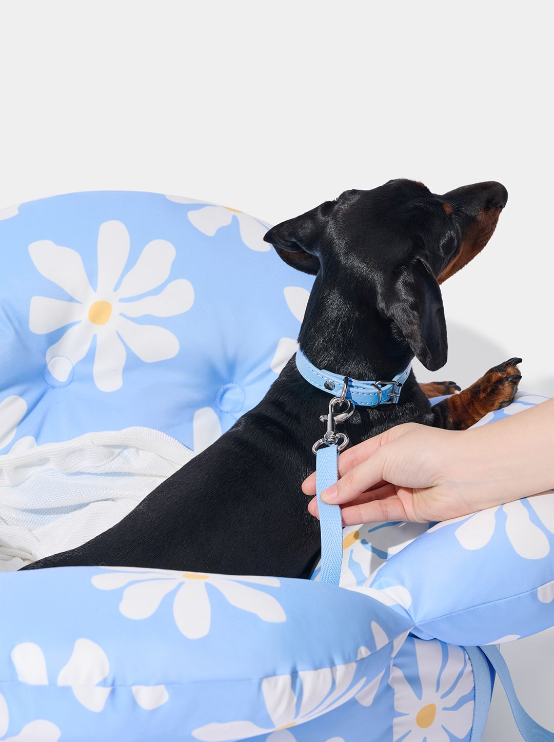 PETAL Car Seat Pet Carrier — alternative angle