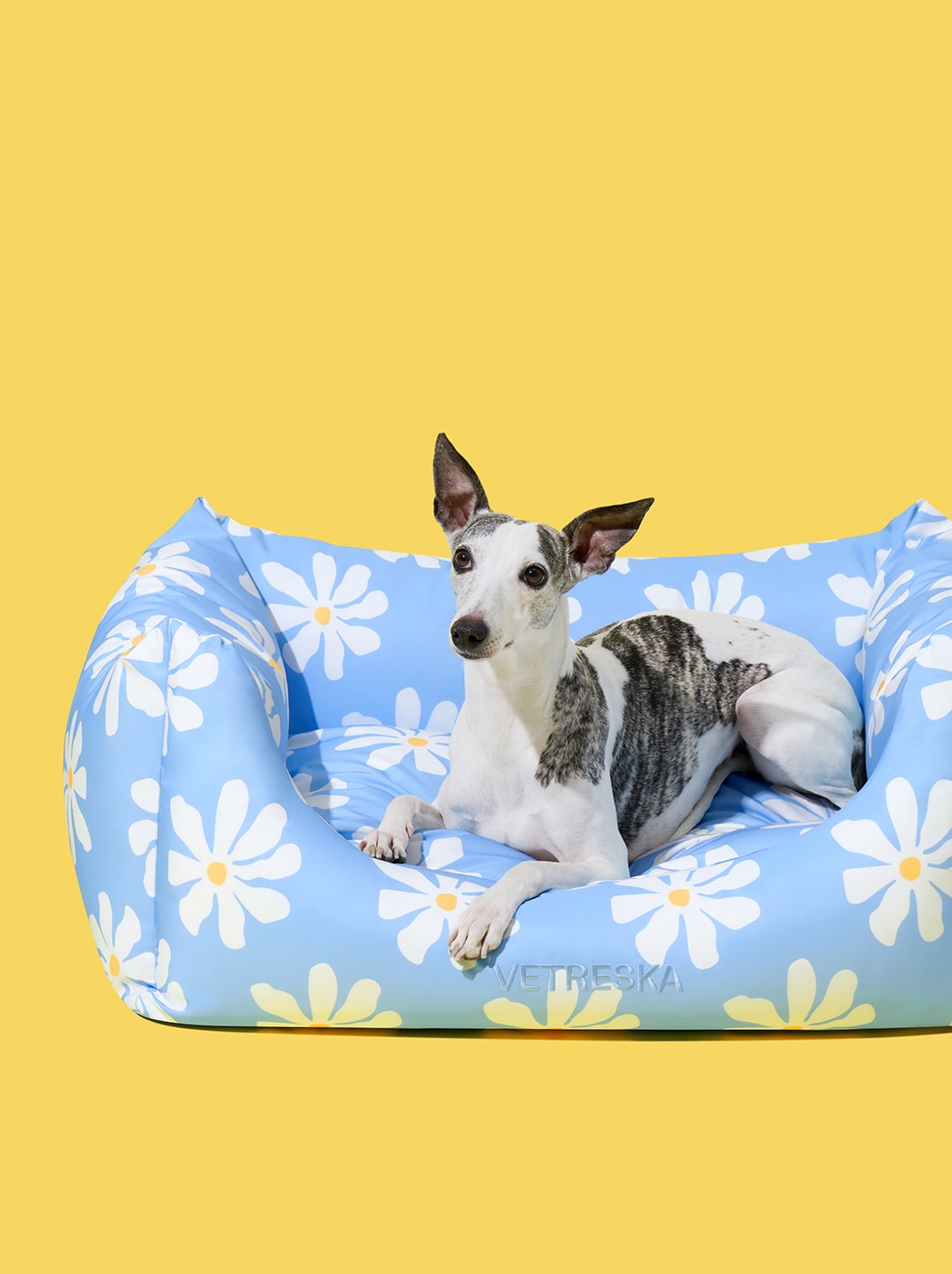 PETAL Pet Sofa — in use
