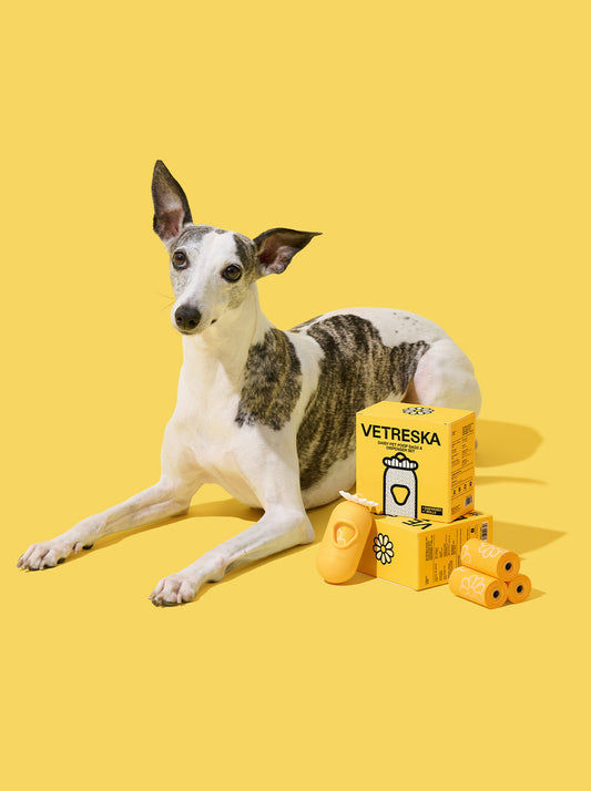 PETAL Poop Bags & Dispenser Set — styled in a home setting