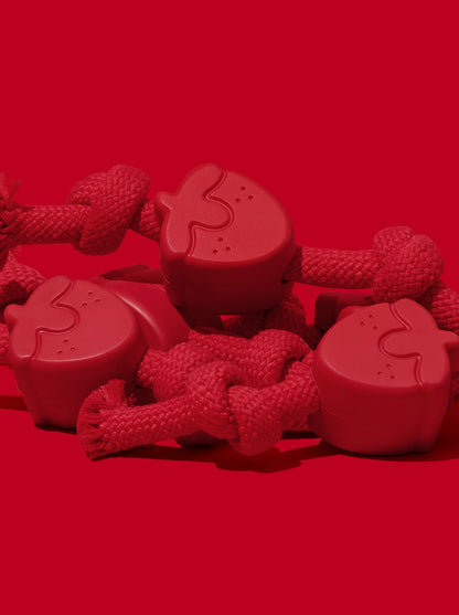 Playful Charm Knot Rope Toy — BERRY — packaging view
