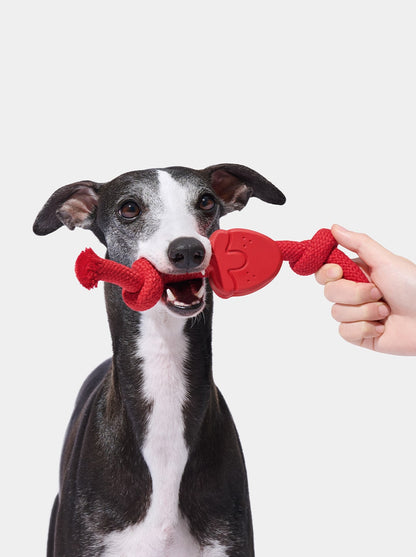 Playful Charm Knot Rope Toy — BERRY — scale reference