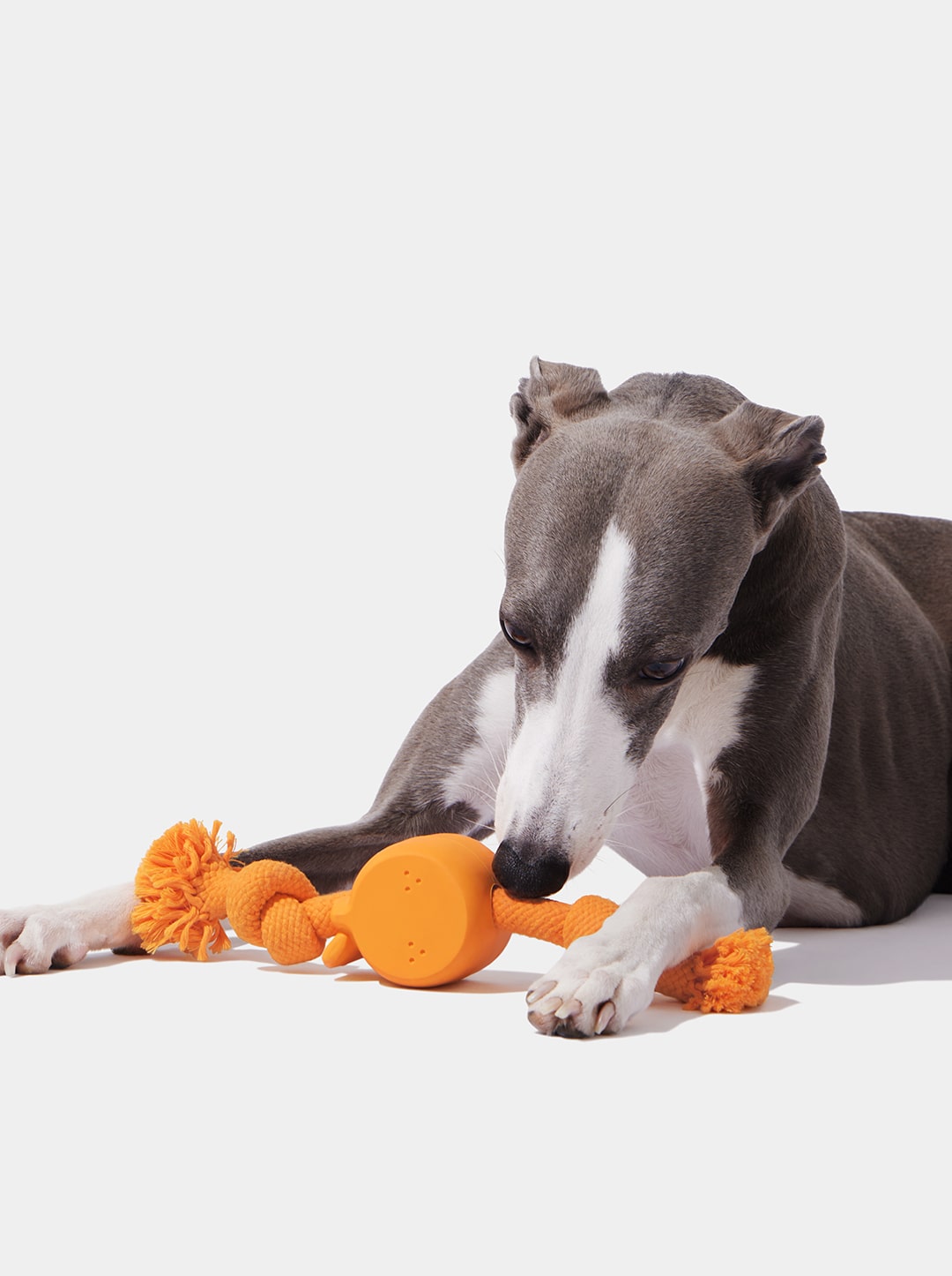 Playful Charm Knot Rope Toy — CITRUS — alternative angle