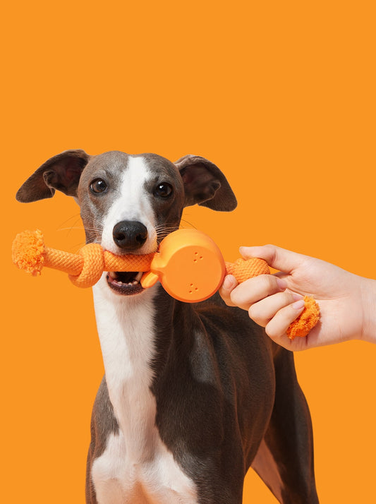 Playful Charm Knot Rope Toy — CITRUS — main product photo