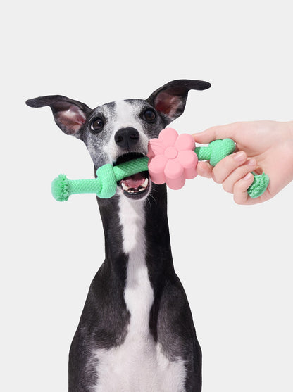 Playful Charm Knot Rope Toy — MEADOW — main product photo