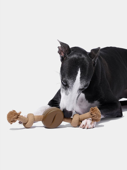 Playful Charm Knot Rope Toy — MOCHA — scale reference