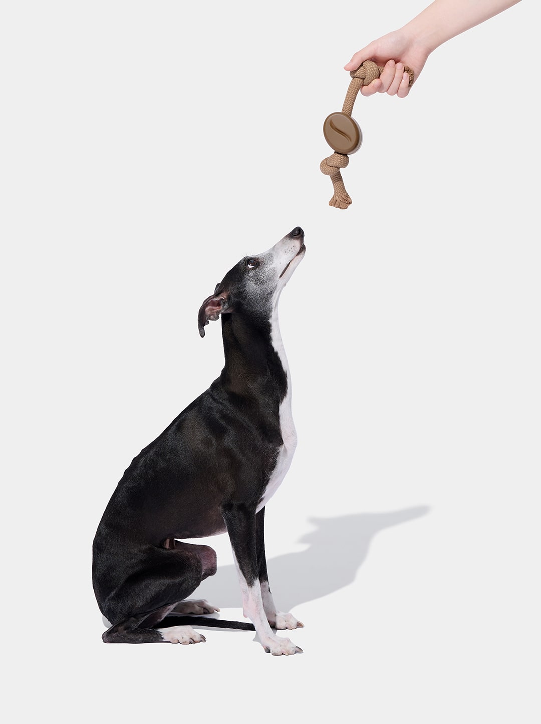 Playful Charm Knot Rope Toy — MOCHA — alternative angle