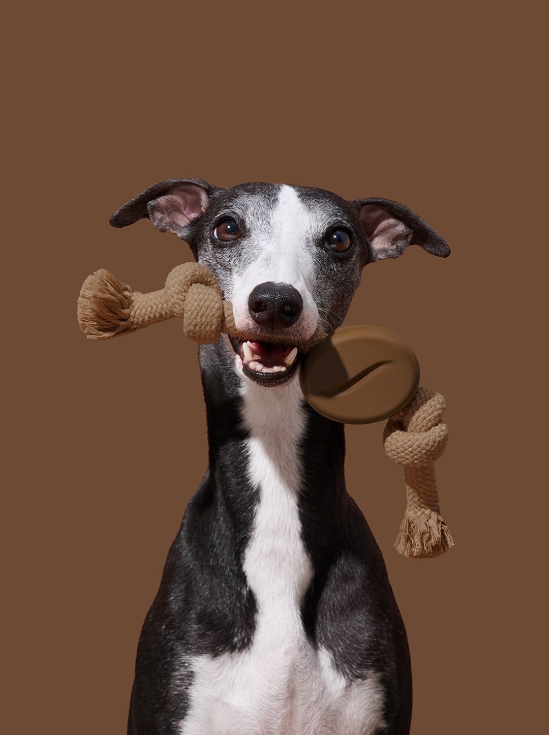 Playful Charm Knot Rope Toy — MOCHA — main product photo