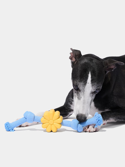 Playful Charm Knot Rope Toy — PETAL — packaging view