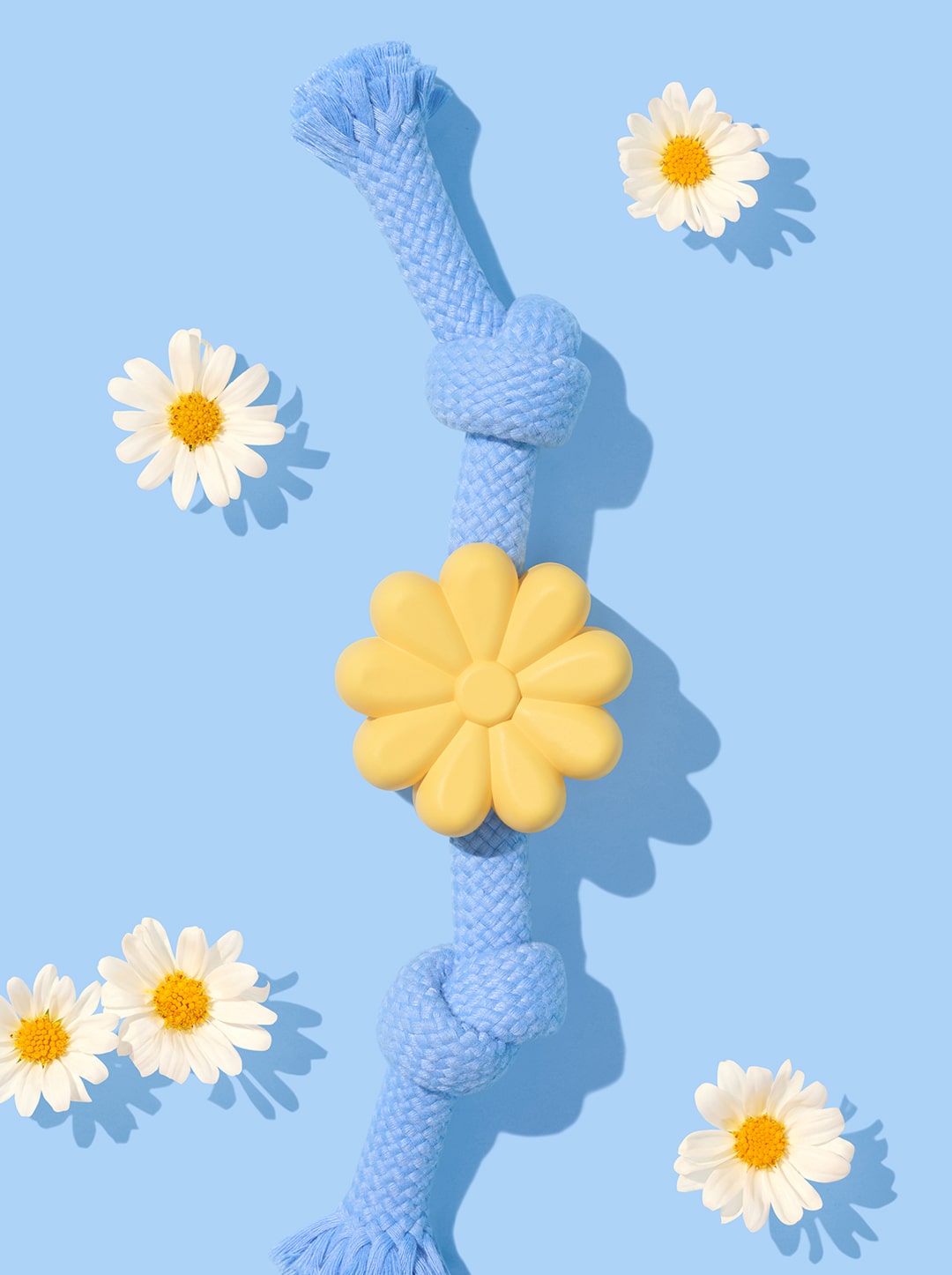 Playful Charm Knot Rope Toy — PETAL — scale reference