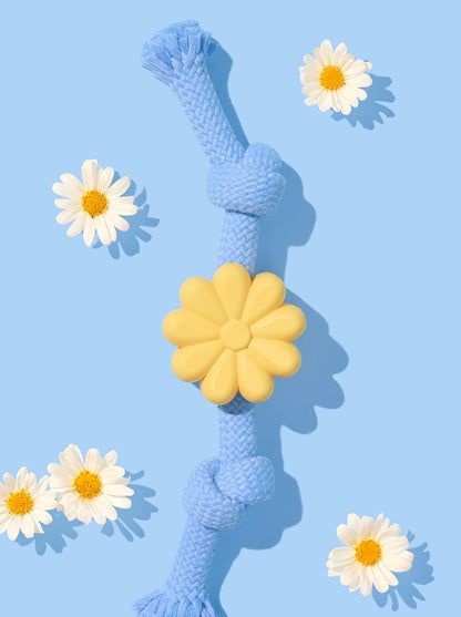 Playful Charm Knot Rope Toy — PETAL — scale reference