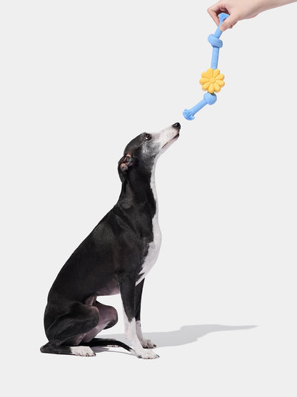 Playful Charm Knot Rope Toy — PETAL — in use