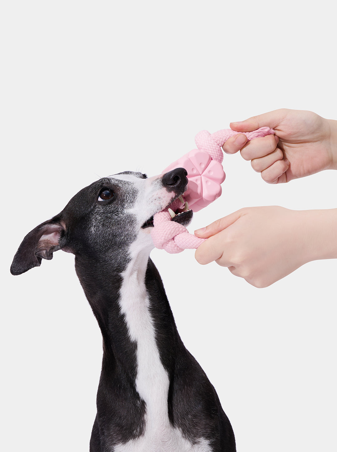 Playful Charm Knot Rope Toy — SAKURA — alternative angle