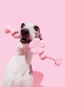 Playful Charm Knot Rope Toy — SAKURA — main product photo