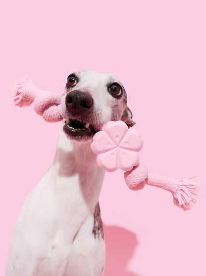 Playful Charm Knot Rope Toy — SAKURA — main product photo