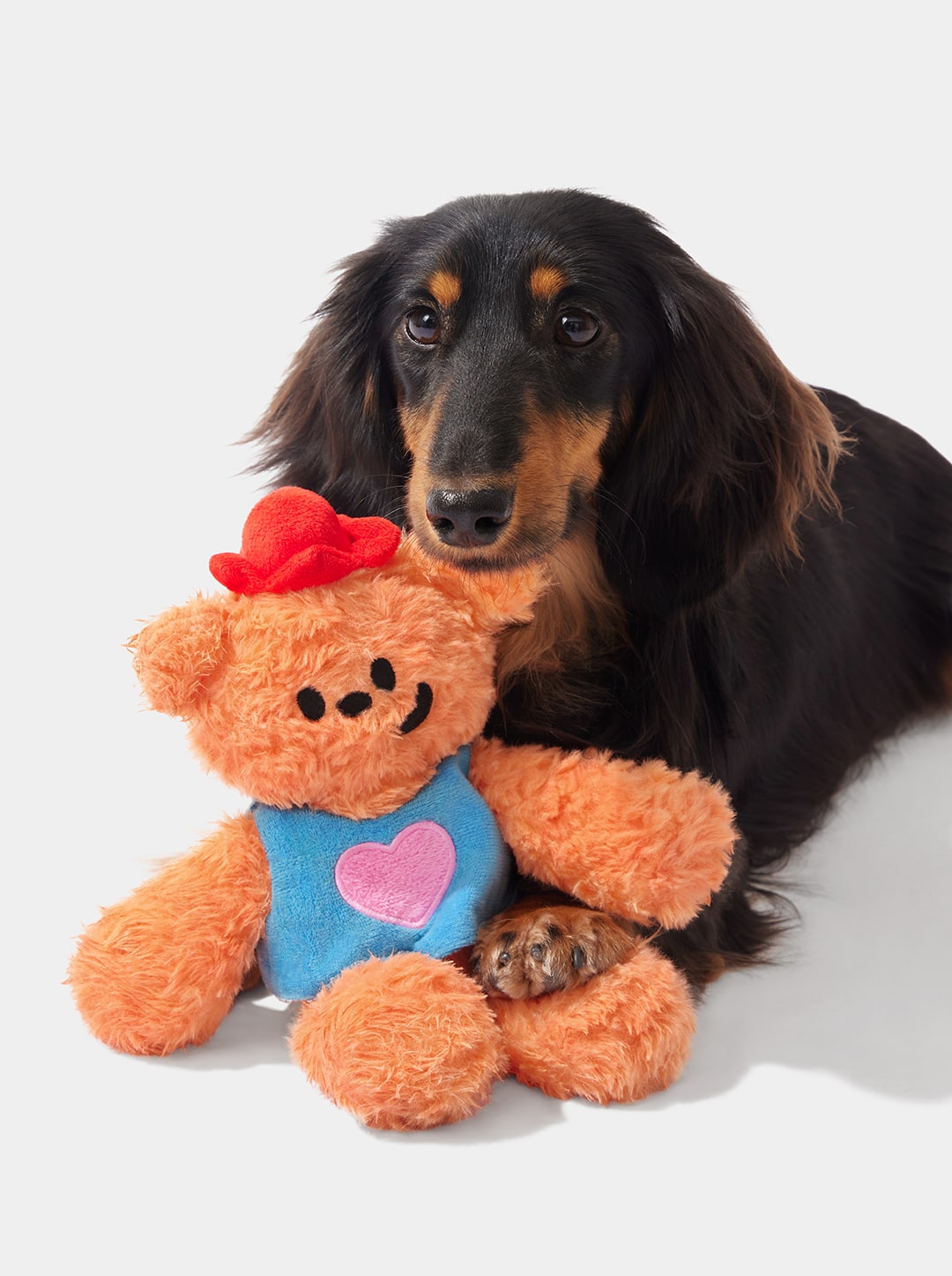 PLAYMATES Buddy Bear — main product photo