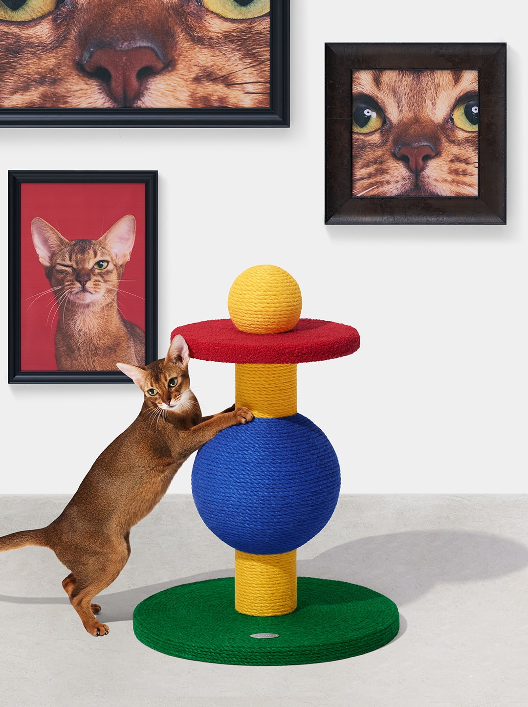 PRISM Cat Scratching Post - Playful Ball — main product photo