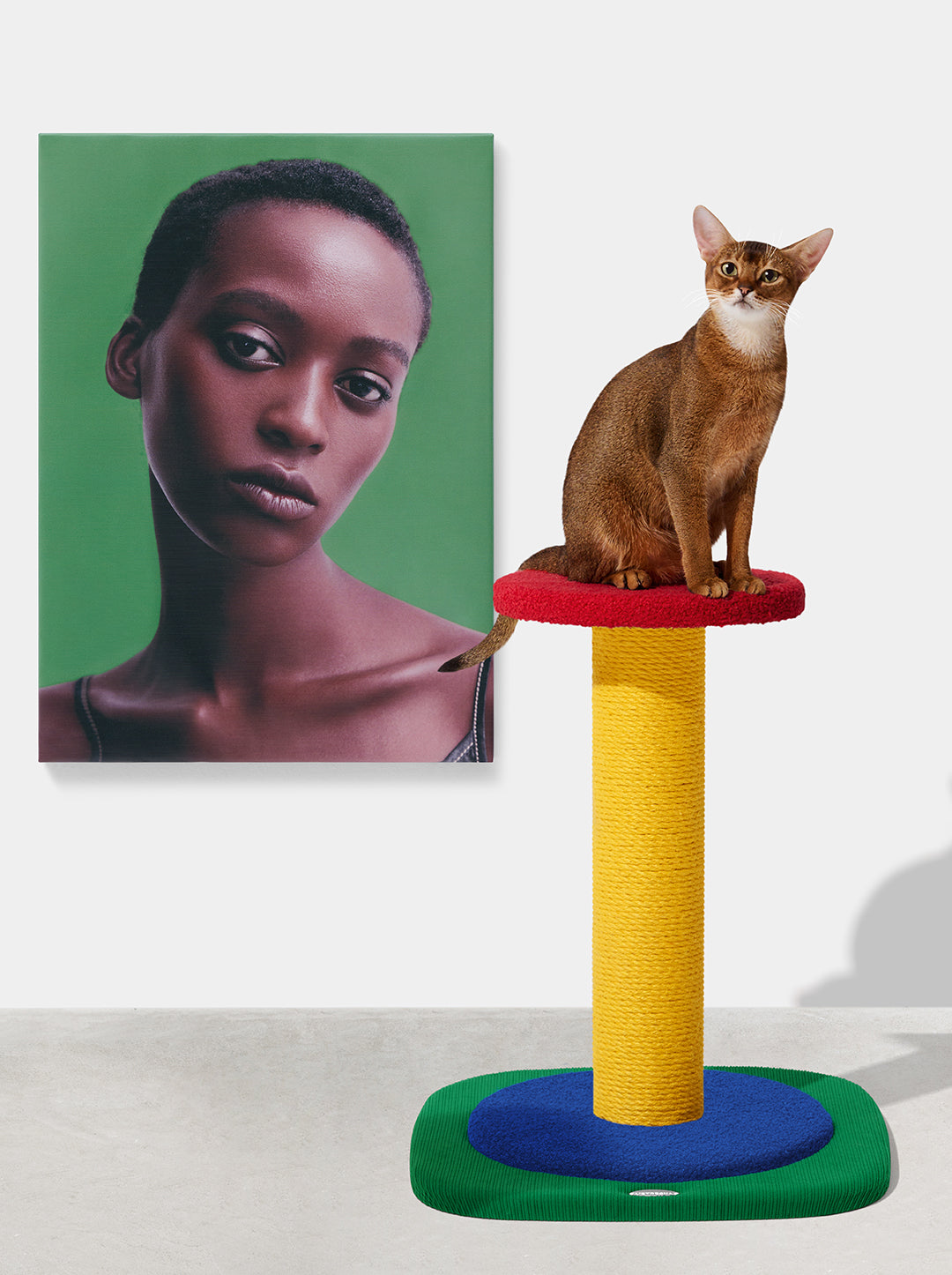 PRISM Cat Scratching Post - Simple Post — main product photo