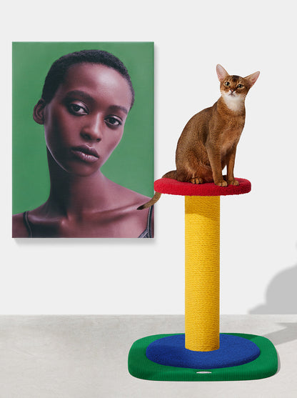 PRISM Cat Scratching Post - Simple Post — main product photo