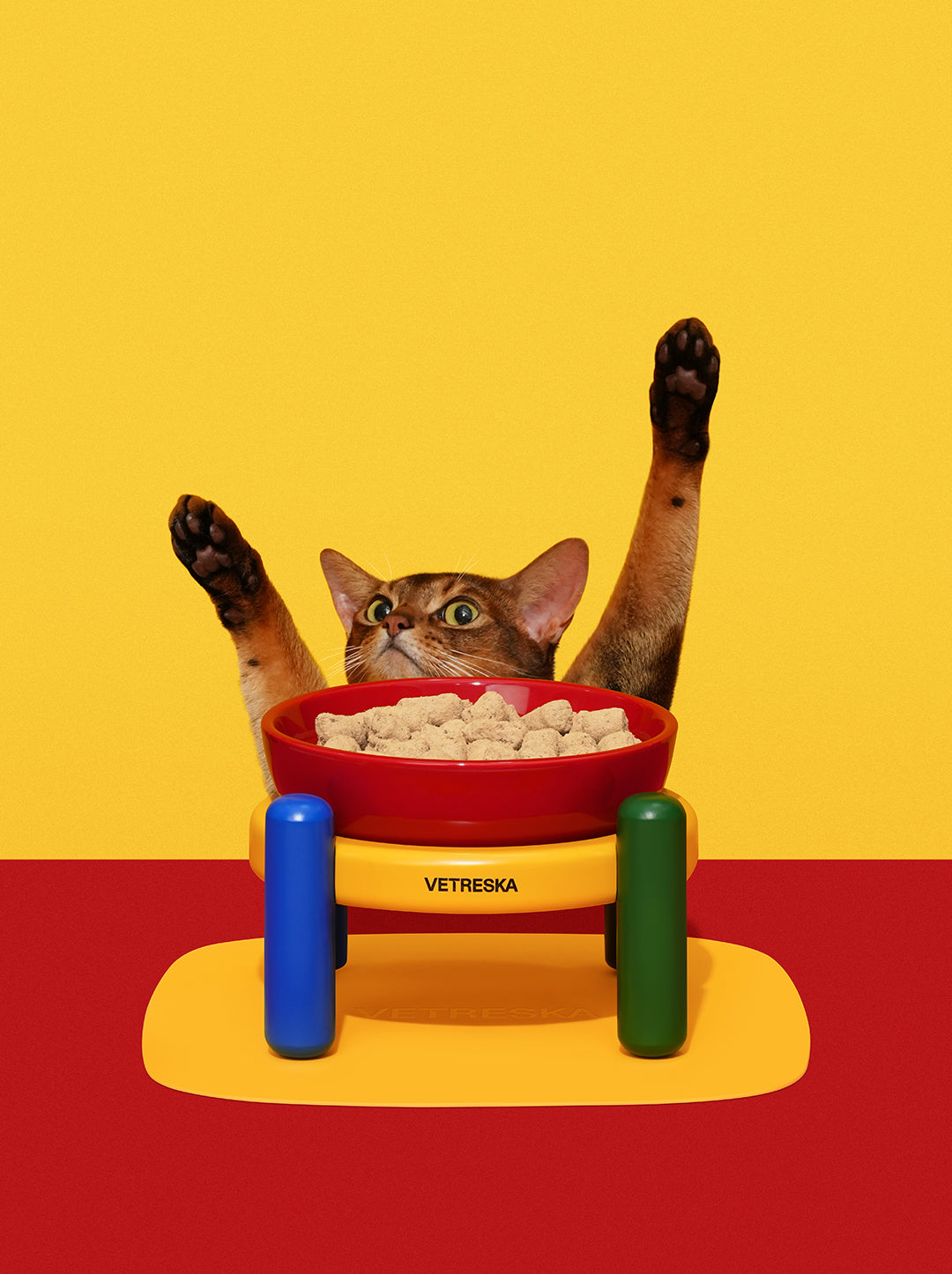 PRISM Ceramic Pet Bowl & Mat Set (2) — alternative angle