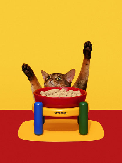 PRISM Ceramic Pet Bowl & Mat Set (2) — alternative angle