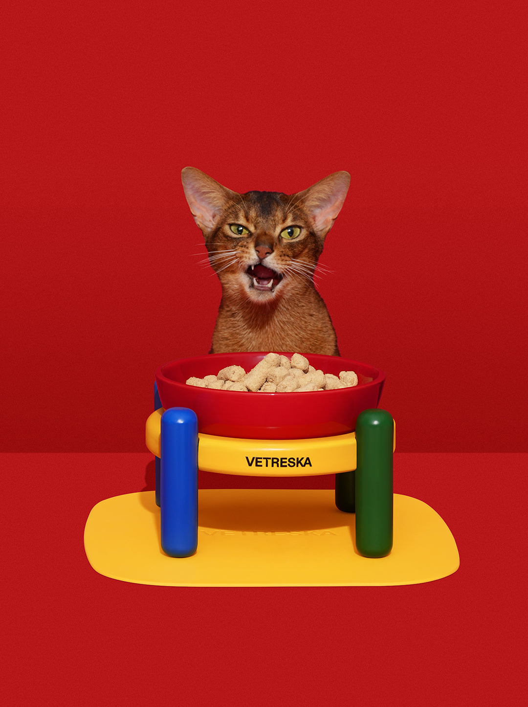 PRISM Ceramic Pet Bowl & Mat Set (2) — in use