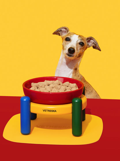 PRISM Ceramic Pet Bowl & Mat Set — alternative angle