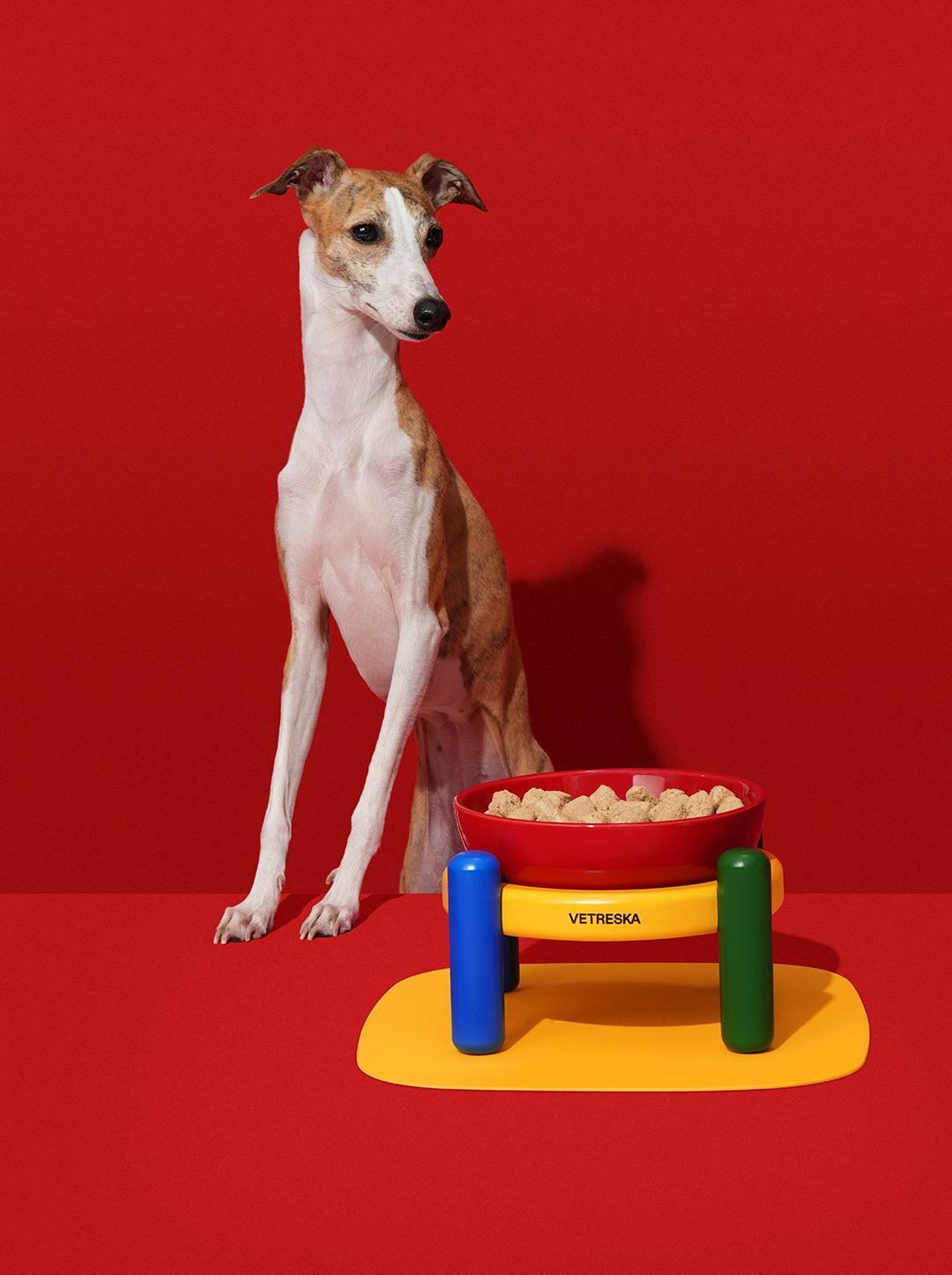 PRISM Ceramic Pet Bowl & Mat Set — in use