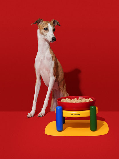 PRISM Ceramic Pet Bowl & Mat Set — in use