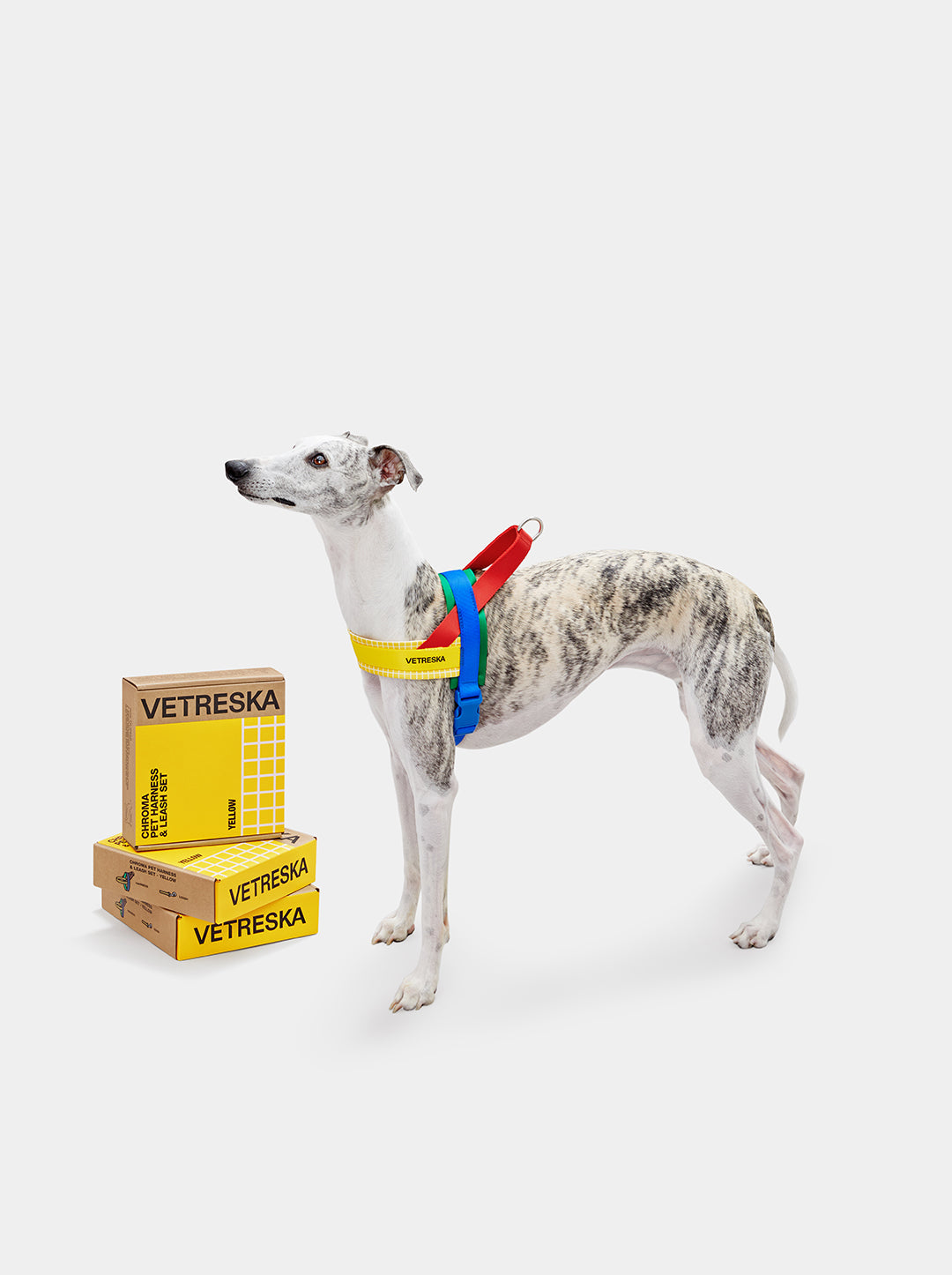 PRISM Pet Harness & Leash Set — Yellow — detail shot