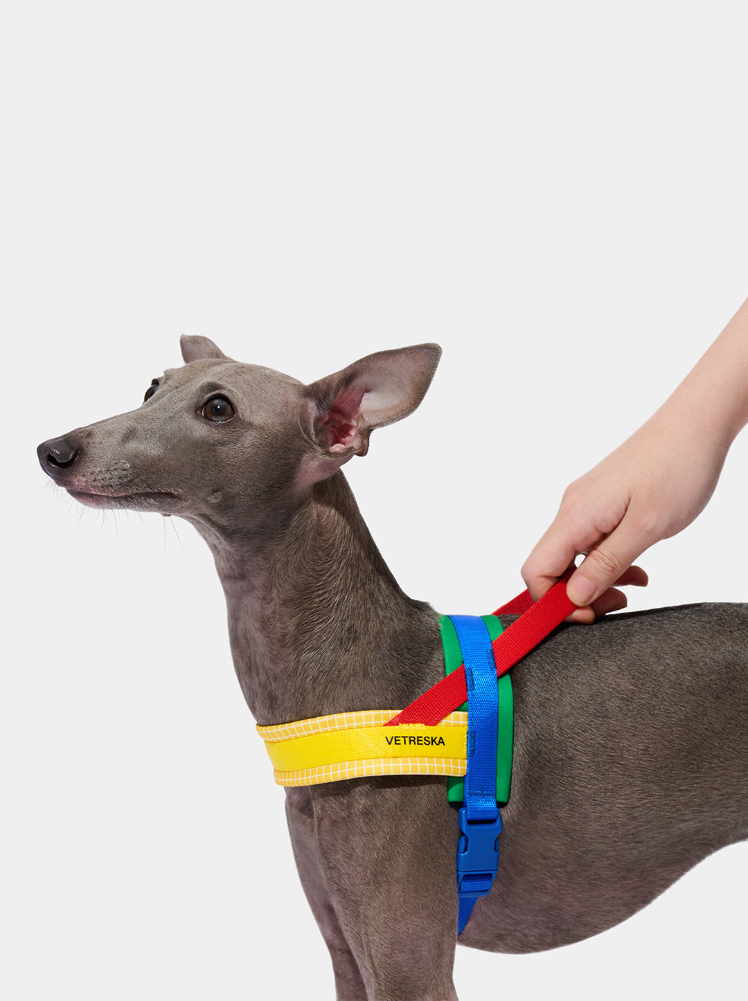 PRISM Pet Harness & Leash Set — Yellow — close-up detail