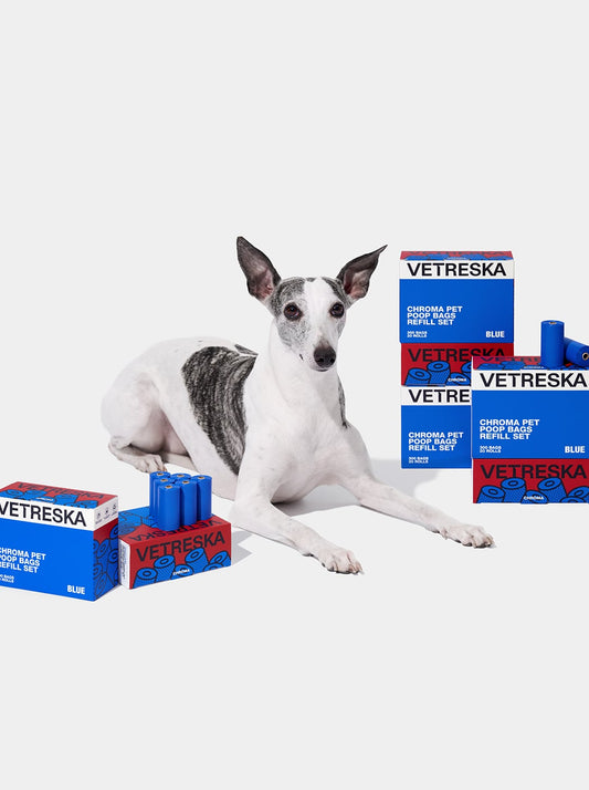 PRISM Pet Poop Bags - Blue — styled in a home setting