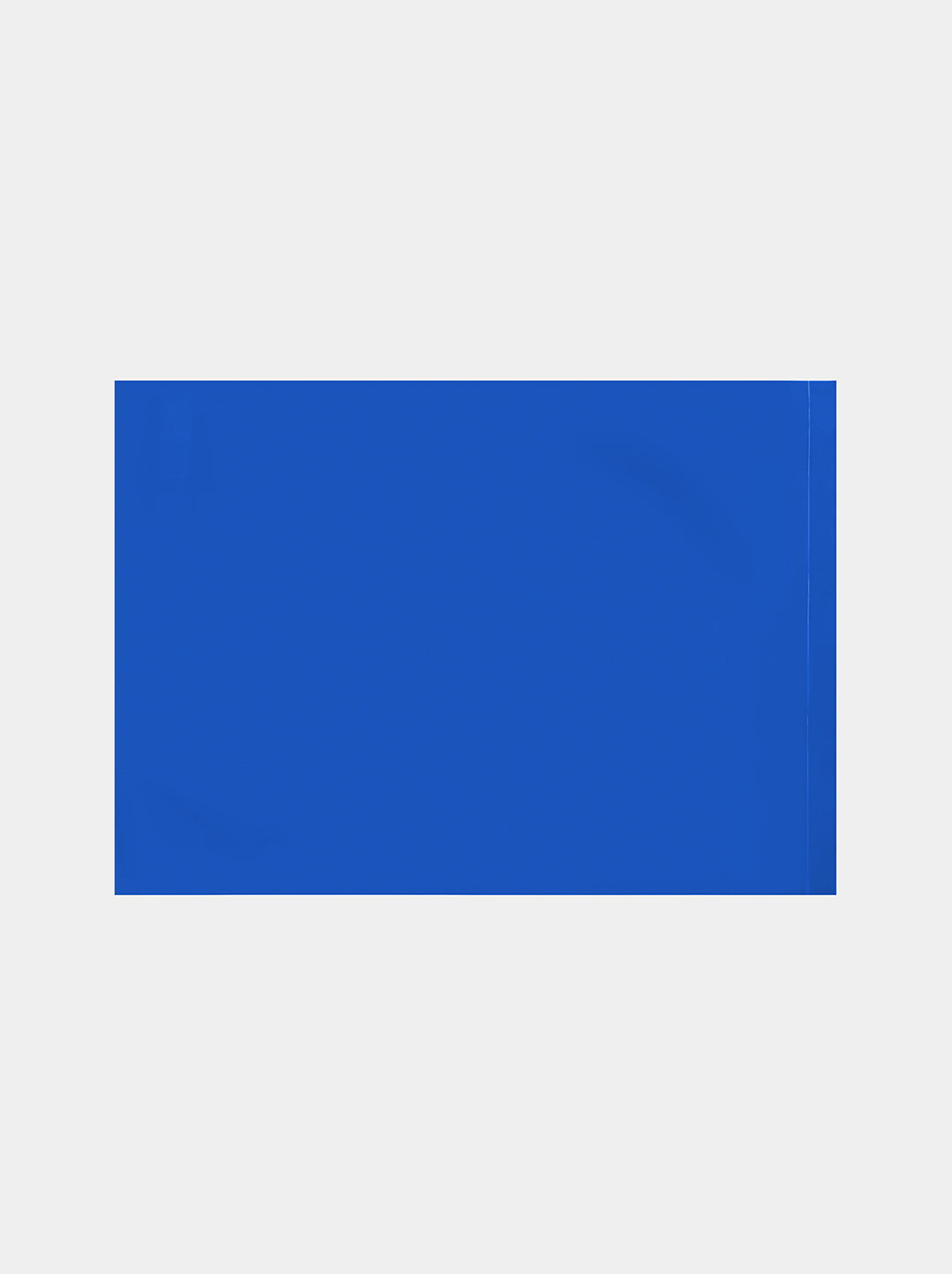 PRISM Pet Poop Bags - Blue — in use