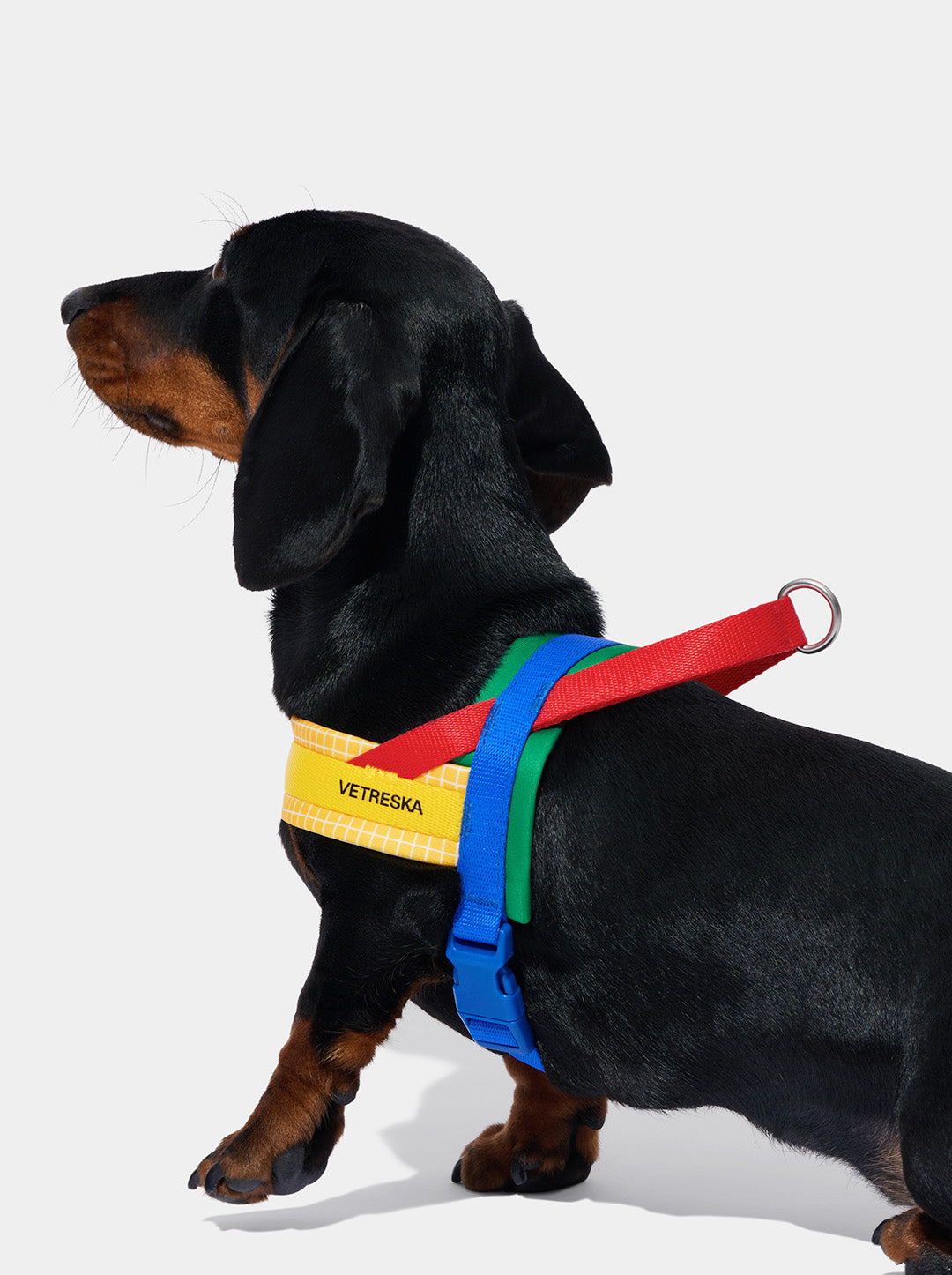 PRISM Pet Walk Kit — PRISM — detail shot
