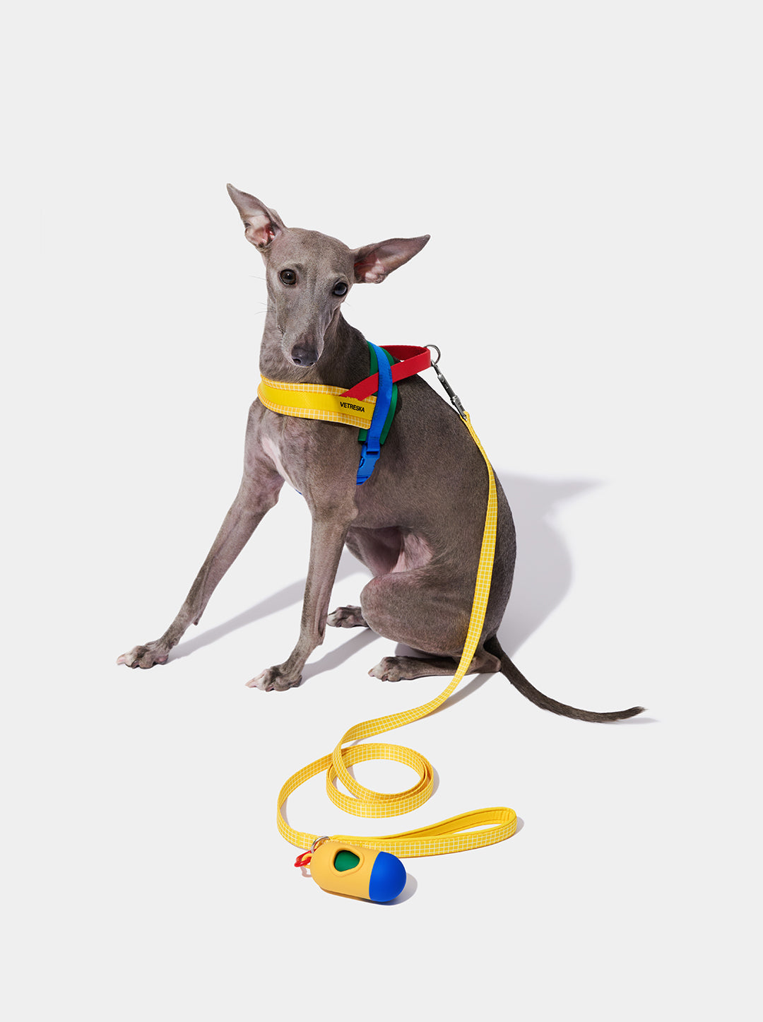 PRISM Pet Walk Kit — PRISM — alternative angle