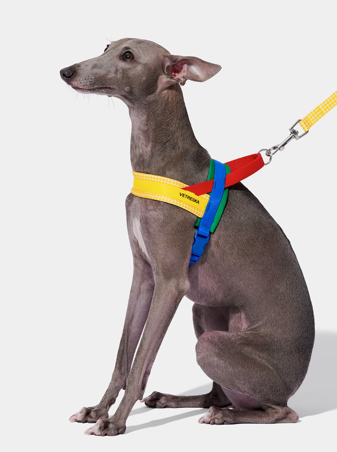 PRISM Pet Walk Kit — PRISM — in use