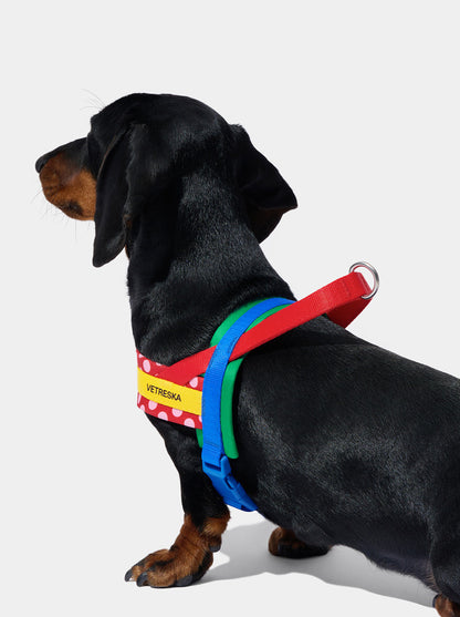 PRISM Pet Walk Kit — Red — close-up detail
